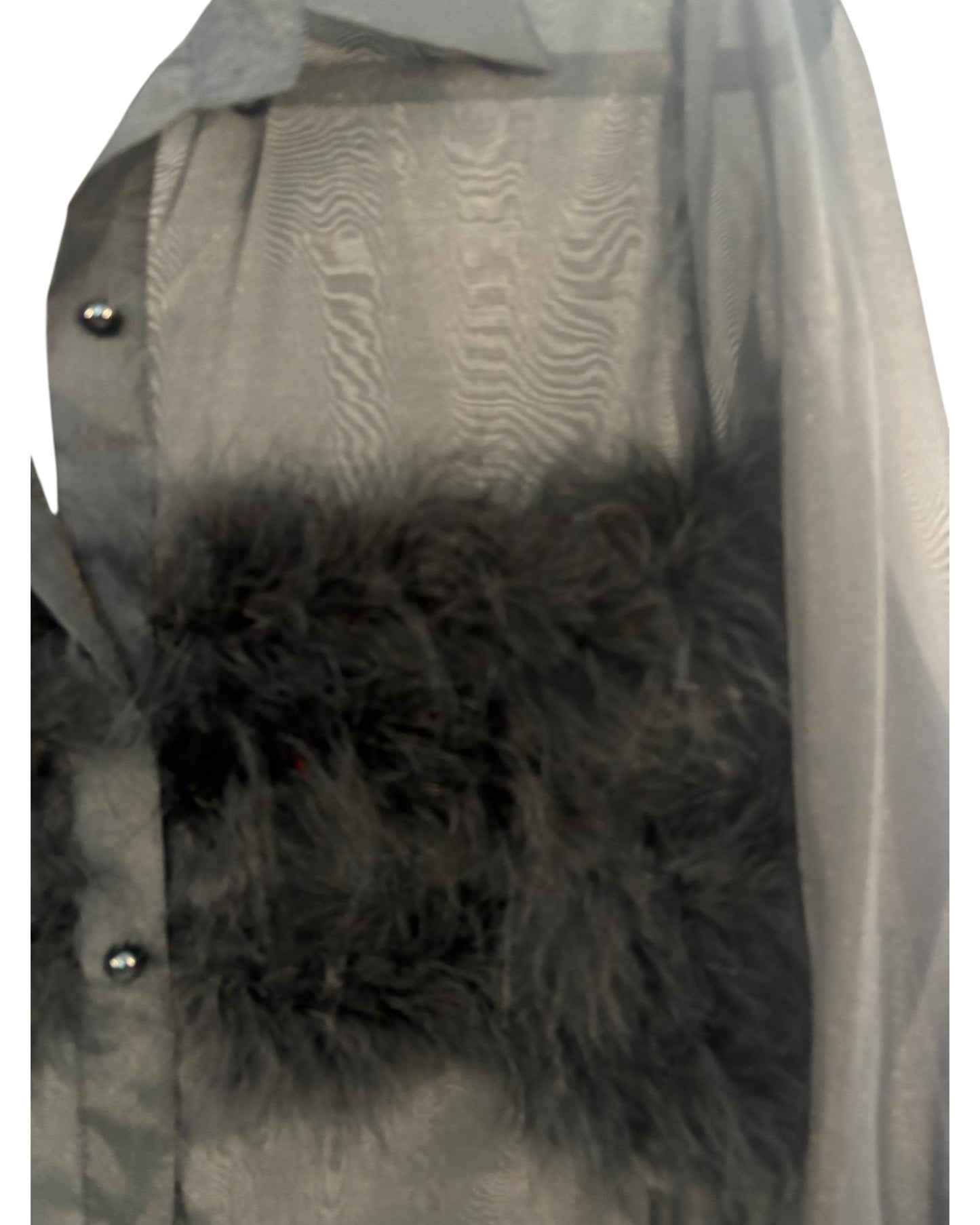 Chemise transparente à plume